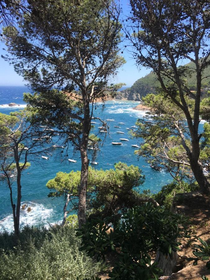Cap Sa Sal Navy, Begur, Girona Exterior foto