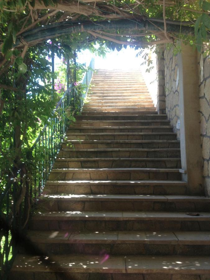 Cap Sa Sal Navy, Begur, Girona Exterior foto