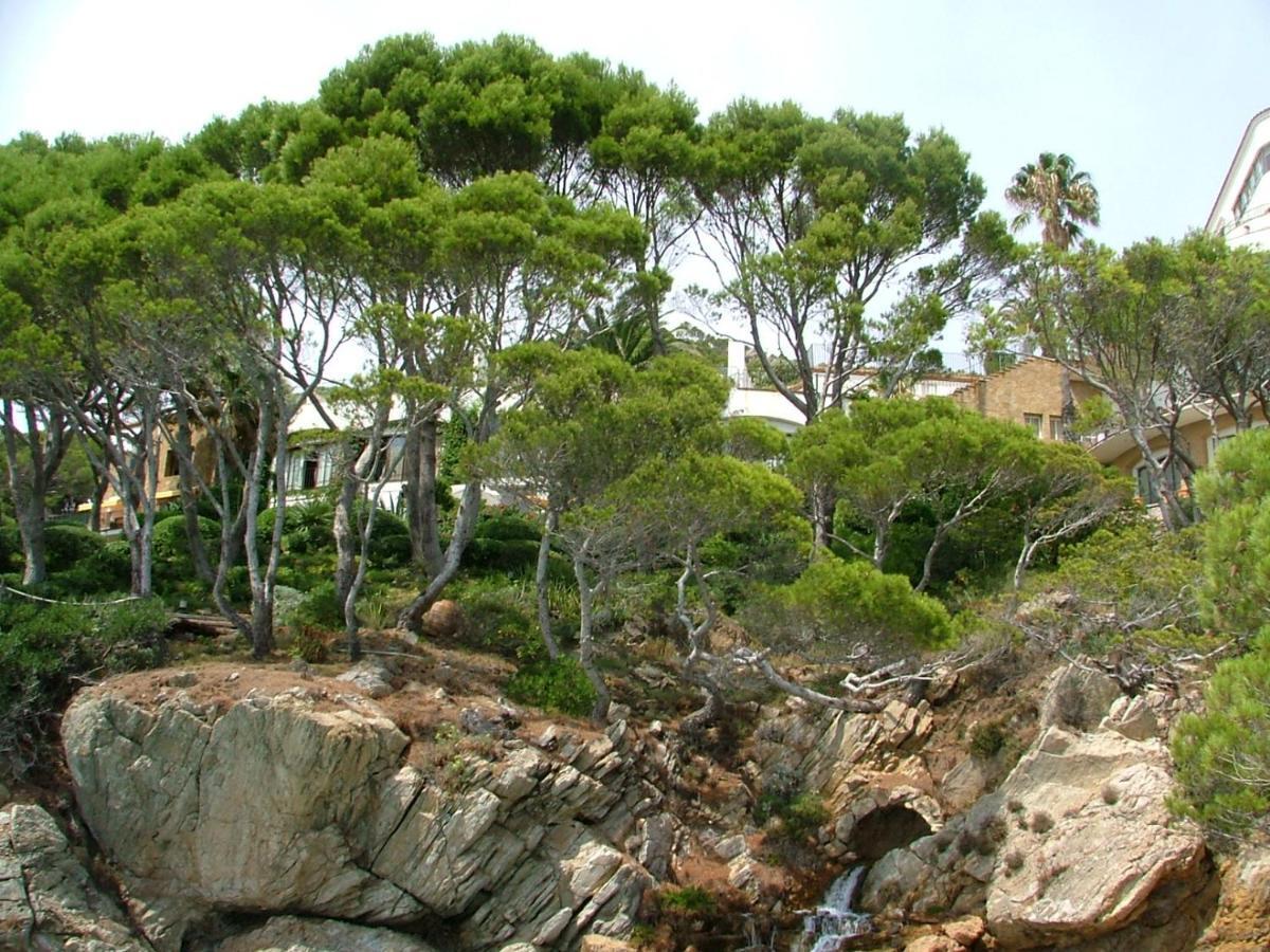 Cap Sa Sal Navy, Begur, Girona Exterior foto
